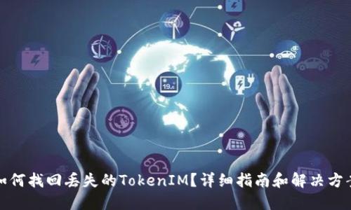如何找回丢失的TokenIM？详细指南和解决方案