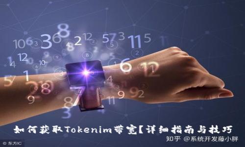 如何获取Tokenim带宽？详细指南与技巧