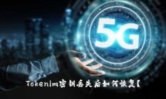 Tokenim密钥丢失后如何恢复