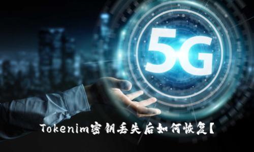 Tokenim密钥丢失后如何恢复？