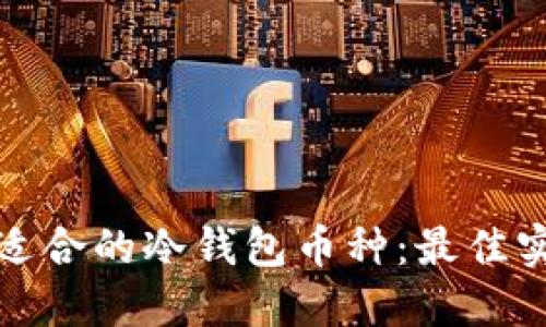 如何选择适合的冷钱包币种：最佳实践与建议