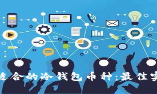 如何选择适合的冷钱包币种：最佳实践与建议