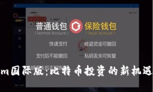 Tokenim国际版：比特币投资的新机遇与挑战