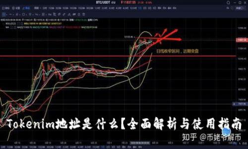 Tokenim地址是什么？全面解析与使用指南