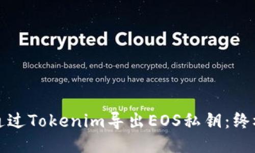 如何通过Tokenim导出EOS私钥：终极指南