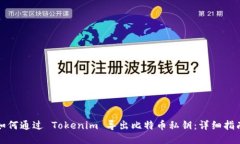如何通过 Tokenim 导出比特