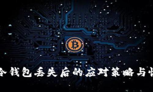 比特币冷钱包丢失后的应对策略与恢复指南