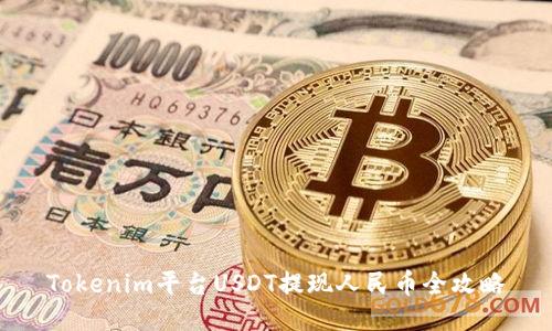 Tokenim平台USDT提现人民币全攻略